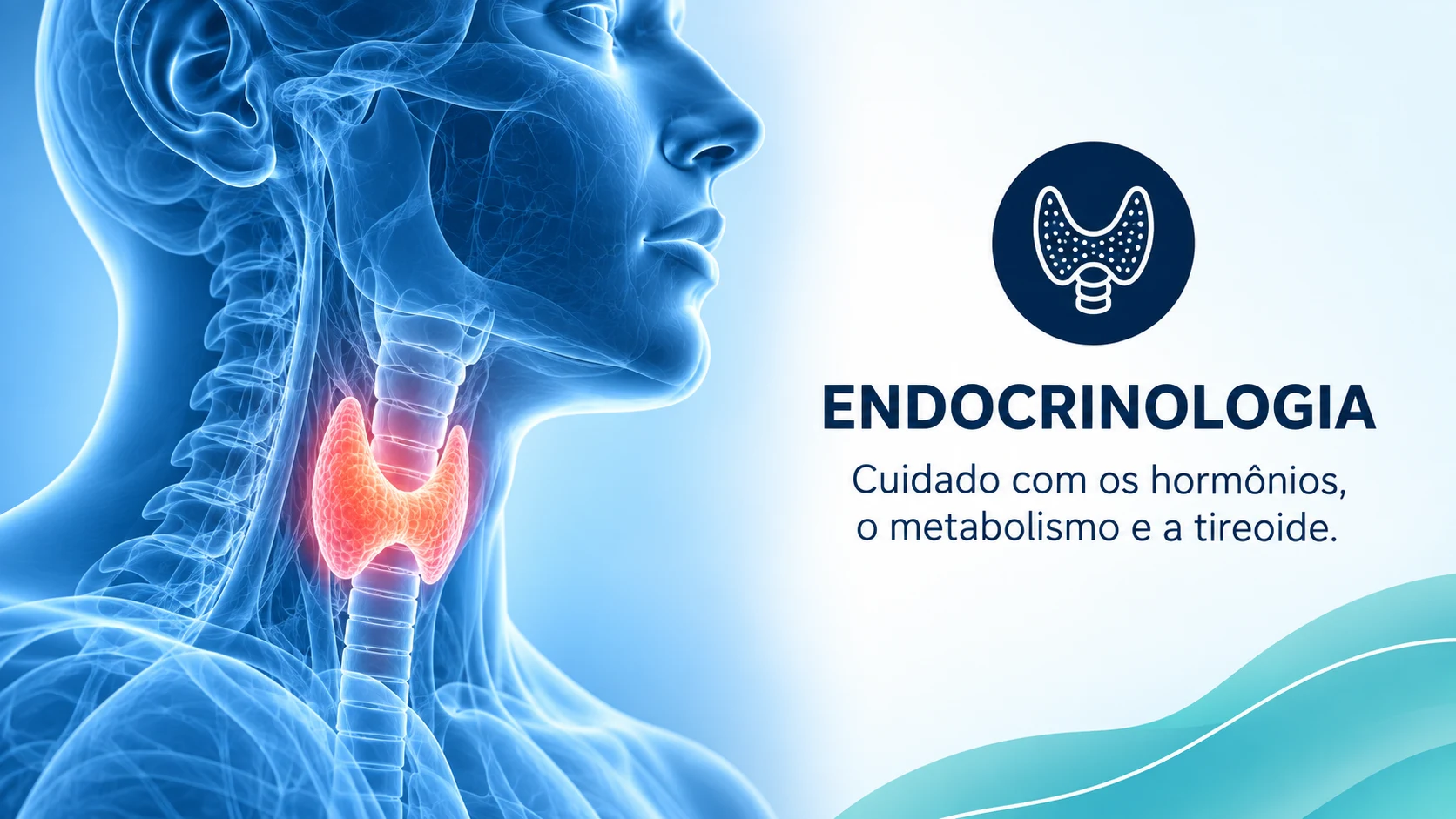 Endocrinologia — Cuidado com os hormônios, o metabolismo e a tireoide.